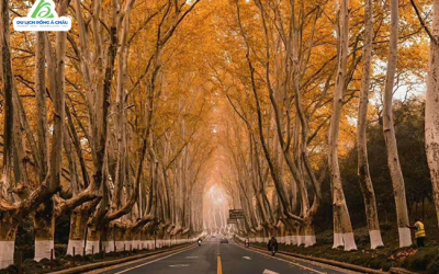 TOUR TRUNG QUỐC: NAM KINH - THƯỢNG HẢI - HÀNG CHÂU - Ô TRẤN 5 NGÀY 5 Đ...